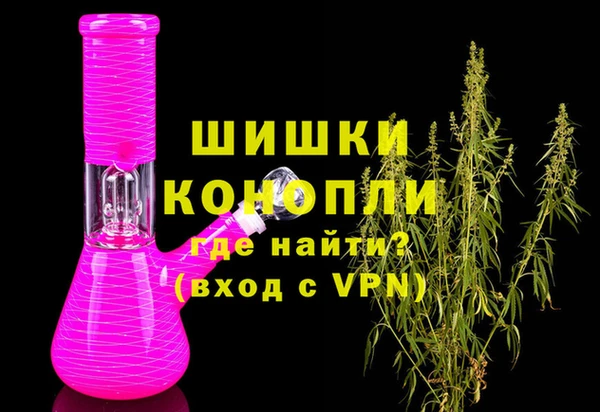 spice Богородицк