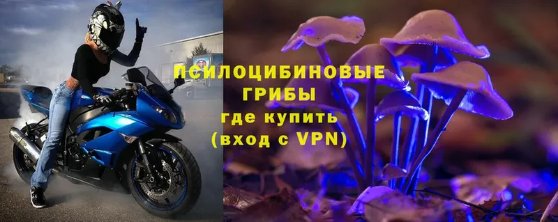 Псилоцибиновые грибы Magic Shrooms Заринск